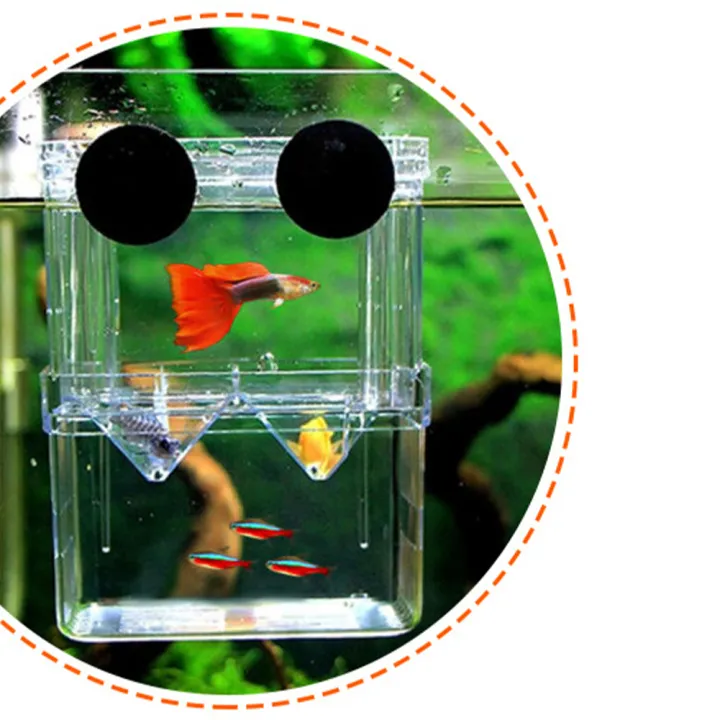 Qiunery%203%20Sizes%20Double-layer%20Clear%20Fish%20Breeding%20Isolation%20Box%20Aquarium%20Fish%20Tank%20Hatching%20Incubator%20Fish%20House%20-%20Image%209