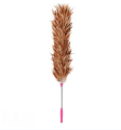 Chicken Feather Duster. 
