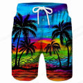 Tropics Sea Island y2k Beach Shorts Pants Men 3D Printed Surfing Board Shorts Summer Hawaii Swimsuit Swim Trunks Cool Ice Shorts.