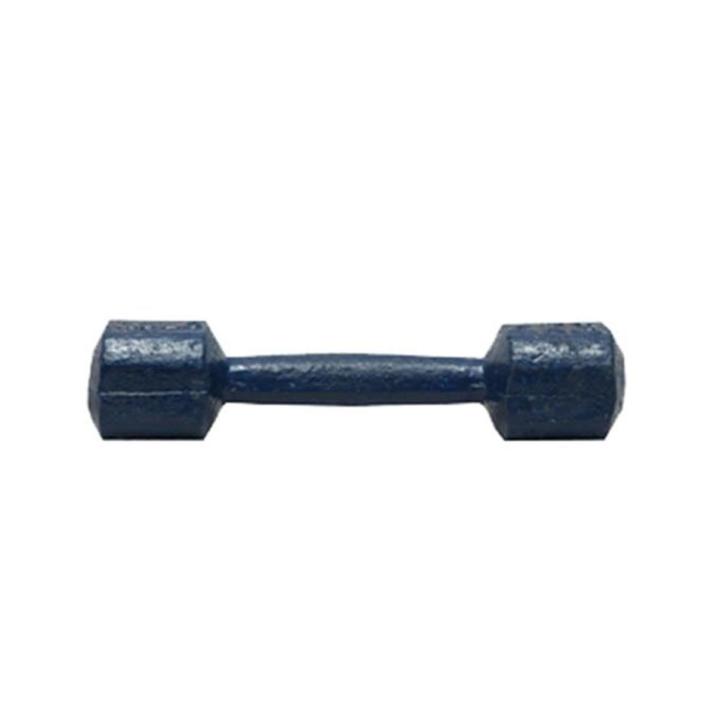 Dumbbell 1 kg - Blue