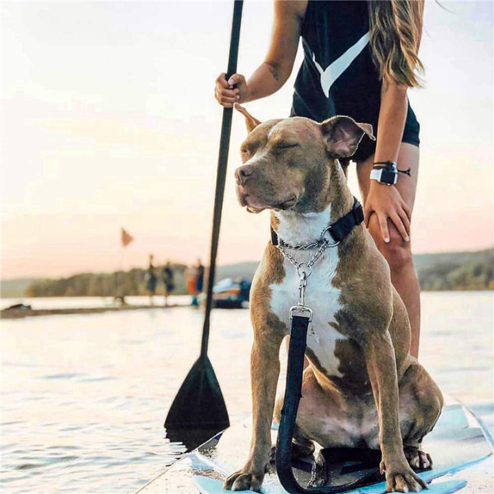 2X%20Adjustable%20Stand%20Up%20Paddle%20Board%20Paddle%20with%20Unique%20Lock%20Design%20Floating%20Alloy%20Shaft%20Paddleboard%20Paddle,Black%20-%20Image%202