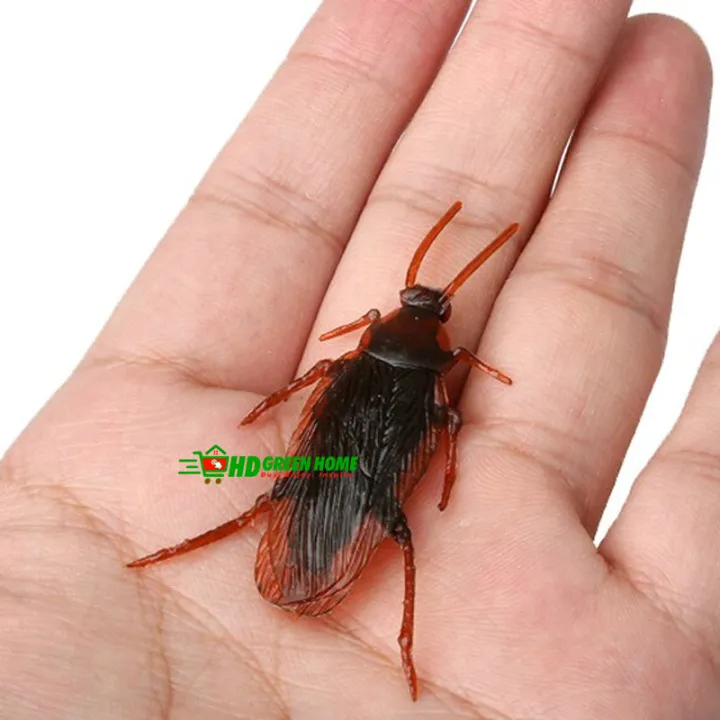10%20pcs%20x%20Simulation%20Plastic%20Centipede%20Cockroach%20Toys%20Realistic%20Insect%20Toy%20Prank%20Funny%20Trick%20Joke%20Toys%20-%20Image%204