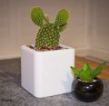 Mini cactus vase for home decor also plantable or other useable(without plant). 
