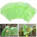 100 Pieces Green Fruit Protection Bags Fruit Netting Bags with Drawstring Garden Fruit Cover Mesh Bag to Protect from Pest Birds Squirrels. 