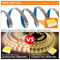 LED Strip Light DC 12V High Lumen LED Tape 4040/5054 SMD2835 Flexible Ribbon DIY LED Light Strip White Blue Green Red Tape Diode-Blue-SMD4040 - 60LEDs--. 