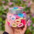Multi Color Elastic Girls Hair Tie With Box. 