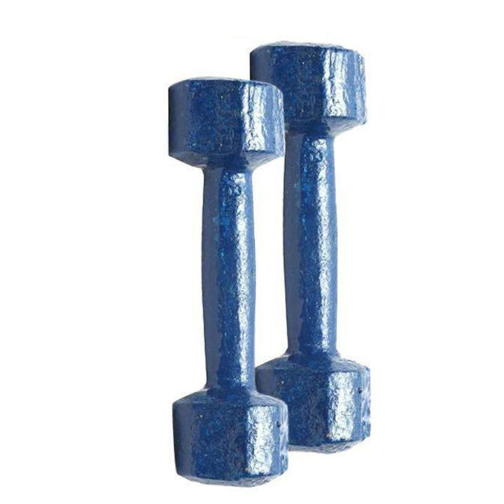 Navy%20Blue%202%20Kg%20Dumbbell%20Combo%20Pack%20Sports%20Fitness%20Exercise%20Equipment%20for%20Home%20Gym%20-%20Image%202