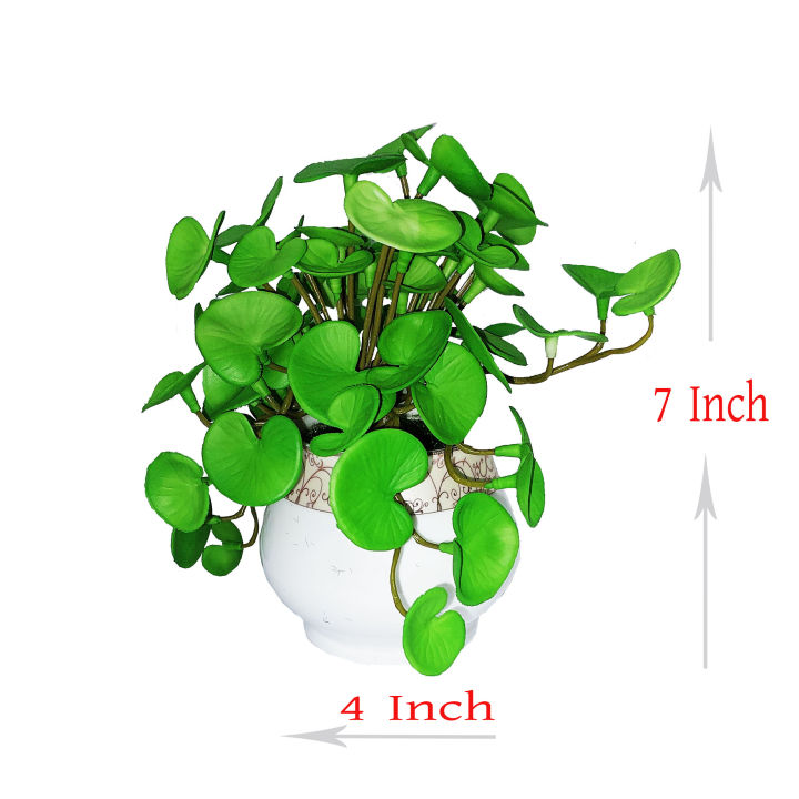 Artificial Thankuni pata Plant In Round Ceramic pot- Thankuni pata With Tub - Home Decoration Item - Home Decoration Item - artificial flower-Artificial Thankuni leaves Plants