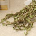 2M Brown Natural Twine String with Leaf DIY Garland accessories Supplies Burlap Wedding Decoration. 