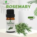 Vishmanni Essential oil combo 6 flavor (10 ml each). 