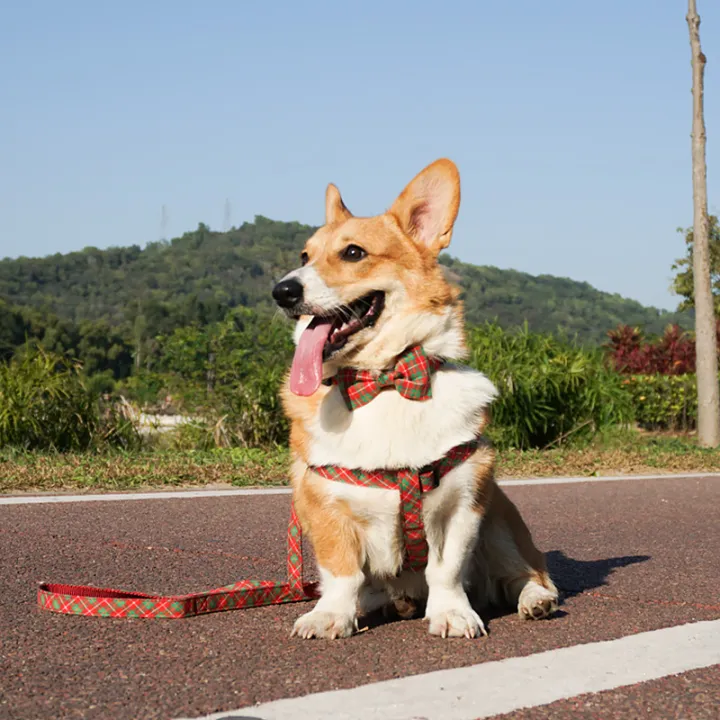 New%20British%20style%20Zibu%20series%20cat%20and%20dog%20bow%20pet%20leash%20collar%20-%20Image%203