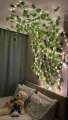 15 Feet Magical Ambiance Artificial Vine Fairy Lights: Flower Green Leaf Design.