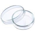 Glass Petri Dish 90 mm Made in Germany for Biology Lab. 