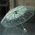 Transparent Folding Umbrella Cherry Blossom Sakura Rain Umbrellas High Transparency Rain Umbrellas For Women Adults Girls And. 