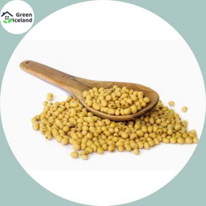 Organic Soybean Tree Seeds (সয়াবিন বীজ) - 30 Pcs Seeds
