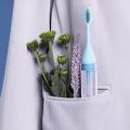 2 In 1 Toothbrush Toothpaste Set Portable Mini Small Integrated Toothbrush Dental Cleaning Appliance. 
