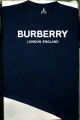 100% Export and Premium Round Neck Half Sleeve Cotton T-shirt for Modern People-BB. 