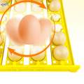 Automatic Egg Turner Tray 24 Eggs Egg Incubator Tray for Chicken Quail Goose DC 12V. 