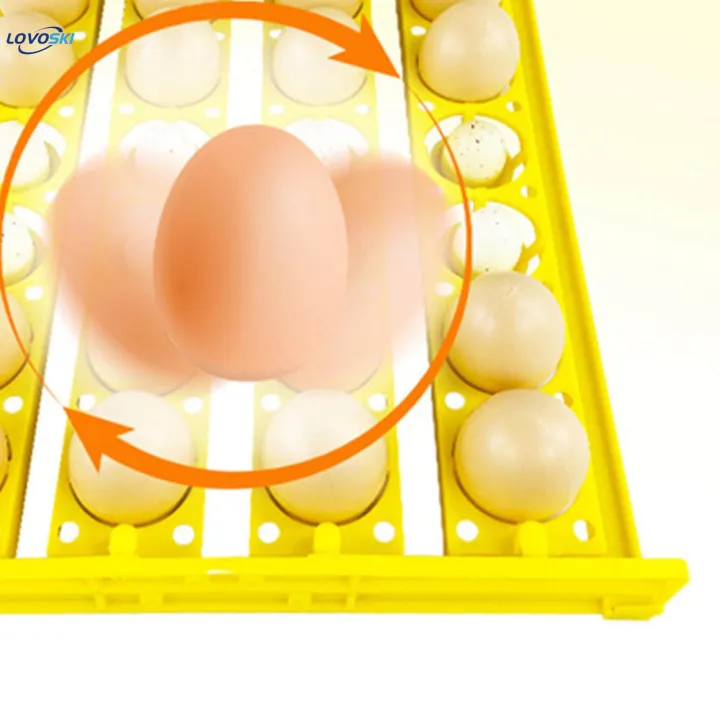 Automatic%20Egg%20Turner%20Tray%2024%20Eggs%20Egg%20Incubator%20Tray%20for%20Chicken%20Quail%20Goose%20DC%2012V%20-%20Image%204