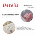 Korean Shiny Double Layer Butterfly Necklace for Women, Rhinestone Clavicle Chain, Elegant Wedding Jewelry.