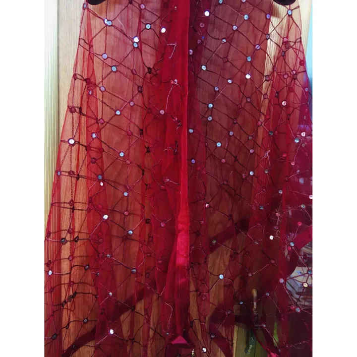 Net%20dupatta%20(orna%20only)%20-%20Image%202