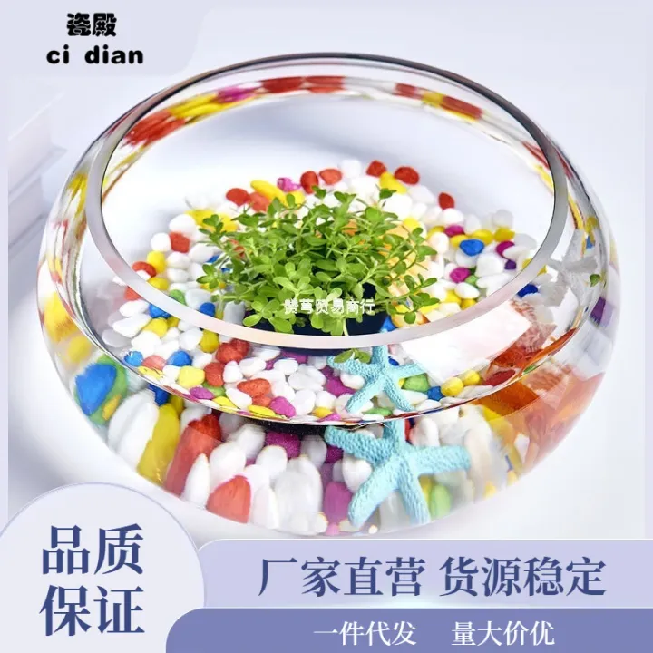 Fish%20Bottle%20Transparent%20round%20Cylinder%20round%20Cylinder%20Ecological%20Creative%20Glass%20Fish%20Tank%20Large%20Turtle%20Tank%20Hydroponic%20Cylinder%20Vase%20Amazon%20-%20Image%202