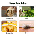 Fruit Fly Trap Strong Adhesive Fly Trap.