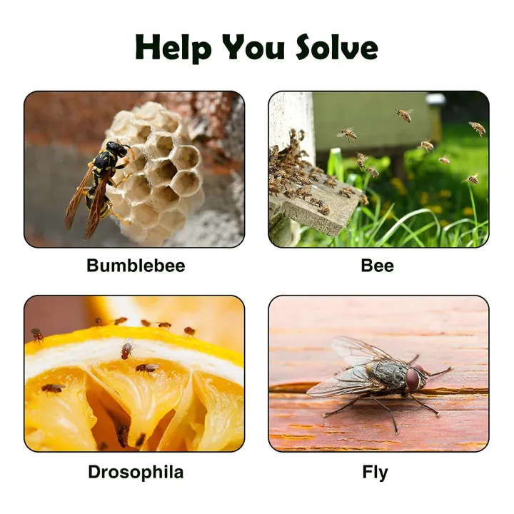 Fruit%20Fly%20Trap%20Strong%20Adhesive%20Fly%20Trap%20-%20Image%204