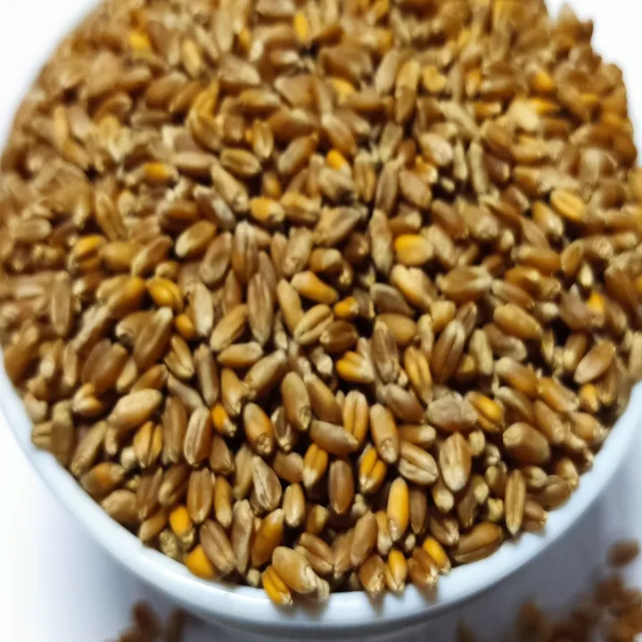 Red%20Wheat%20For%20birds%20Foods%20-%201KG%20-%20Image%203