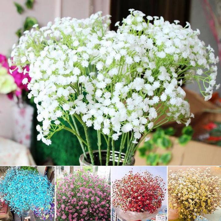 Gypsy%20Flower%20Seed%20100pcs%20-%20%E0%A6%9C%E0%A6%BF%E0%A6%AA%E0%A6%B8%E0%A6%BF%20%E0%A6%AB%E0%A7%81%E0%A6%B2%E0%A7%87%E0%A6%B0%20%E0%A6%AC%E0%A7%80%E0%A6%9C%20-%20Image%203