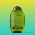 International Germany product Hair care Ogx Teatree Mint shampoo used for male/ female - 385 ml. 