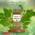 Coriander Powder Spices for Cooking. 
