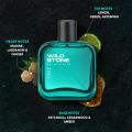 Wild Stone - Edge Premium Perfume for Men, Long Lasting Eau De Parfum|Luxury Fragrances - 100ml. 