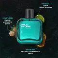 Wild Stone - Edge Premium Perfume for Men, Long Lasting Eau De Parfum|Luxury Fragrances - 50ml.