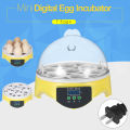 7 Eggs Mini Digital Egg Incubator Hatcher Transparent Eggs Hatching Machine Automatic Temperature Control for Chicken Duck Bird Eggs AC110V. 