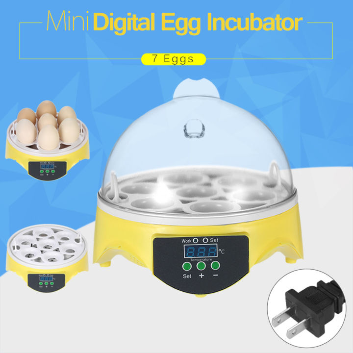 7%20Eggs%20Mini%20Digital%20Egg%20Incubator%20Hatcher%20Transparent%20Eggs%20Hatching%20Machine%20Automatic%20Temperature%20Control%20for%20Chicken%20Duck%20Bird%20Eggs%20AC110V%20-%20Image%208