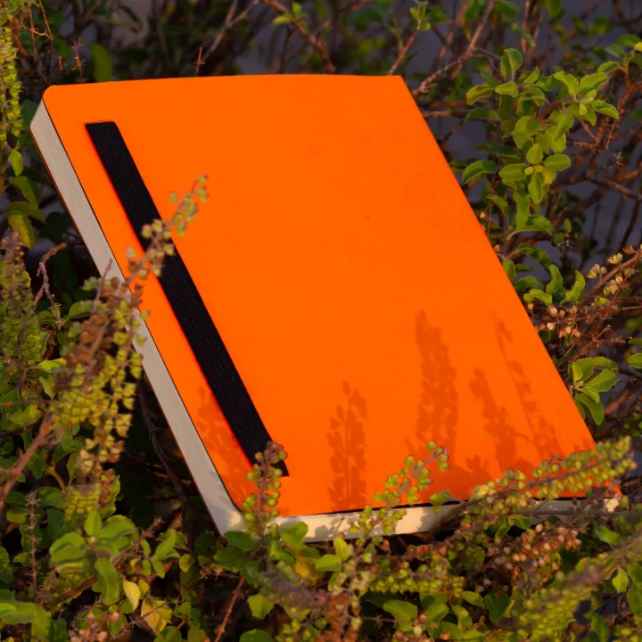 Daily%20Journal%20Orange%20Notebook%20with%20Elastic%20Band%20-%20Image%206