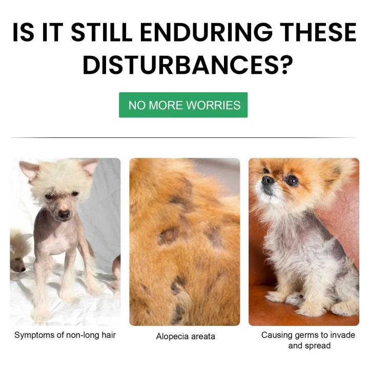Cat%20Hair%20Regrowth%20Liquid%20Dog%20Hair%20Loss%20Treatment%20Promote%20Cat%20Hair%20Growth%20Pet%20Skin%20Repair%20Relieve%20Itching%20Pet%20Skin%20Repair%20Essence%20-%20Image%205
