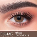 New Dahab Cat Eye (Brown) Color Contact Lens With Regular Kit Box For Men And Women. 1 Pair Dahab Color Contact Lens For Eye Makeup and Cosmetics. Dahab Gold Collection. #cateye.