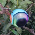 X-811 Bluetooth, USB, TF Card & FM Radio Supported RGB Colorful Lighting Speaker.