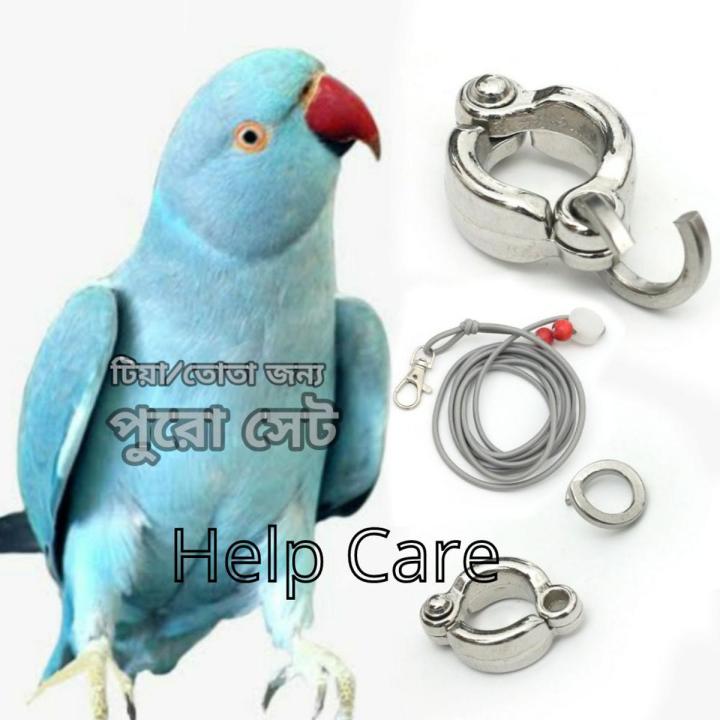 Ringneck Parrot China Ring & Harness Full Set 7MM Ring Size