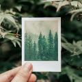 30 Pieces Romantic Scene Series Coated Paper Sticker Boxed Album Diary Journal Decorative Crafts Landscape Scrapbooking. 