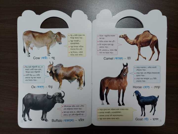 Learning%20Word%20Book%20with%20Picture%20-%20Image%203