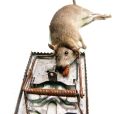 Rat Trap Reusable Stainless Stell- ইঁদুর ধরার ফাঁদ-1 Pis.
