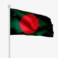 Bangladesh National Flag (5’ x 3’) Feet (Local) - Green and Red. 