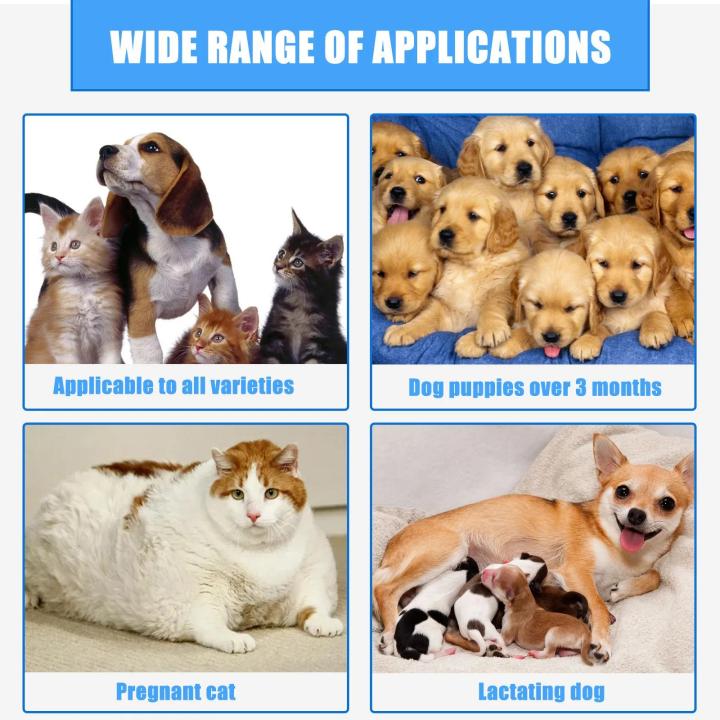 Pet%20Wound%20Care%20Spray%20To%20Relieve%20Itching%20of%20Cats%20and%20Dogs%20Skin%20Wound%20Care%2030ml%20-%20Image%206