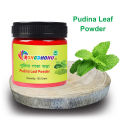 Pudina Leaf Powder, Mint Leaf Powder, Pudina For Haircare - 100gm. 