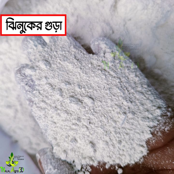 Oyster and Snail Powder 1KG(Jhinuk & Shamuk) for Gardening
