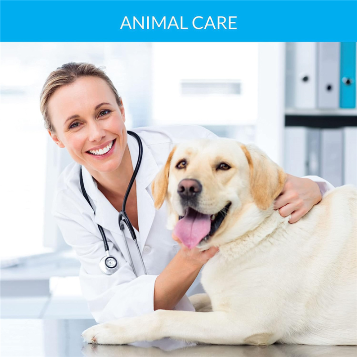 100%20Pack%2025Ga%205/8%20Inch%20Injection%20Needle%20with%20Cap%20Orange%20Stainless%20Steel%20for%20Animal,%20Pet,%20Poultry%20and%20Industrial%20Dispensing%20Needle%20Accessories%20-%20Image%205