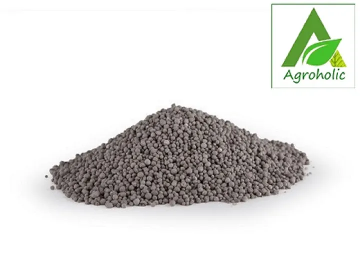 TSP%20Fertilizer%20(%20%E0%A6%9F%E0%A6%BF.%E0%A6%8F%E0%A6%B8.%E0%A6%AA%E0%A6%BF%20%E0%A6%B8%E0%A6%BE%E0%A6%B0%20)-1%20kg%20-%20Image%202